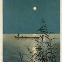 Shoda Koho Mar a la luz de la luna