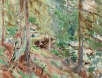 Singer Sargent John A Forest Scene Ca. 1907