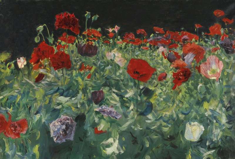 Singer Sargent John A Study Of Poppies For Carnation Lily Lily Rose canvas print