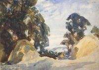 Singer Sargent John Landscape With Trees 1901 canvas print