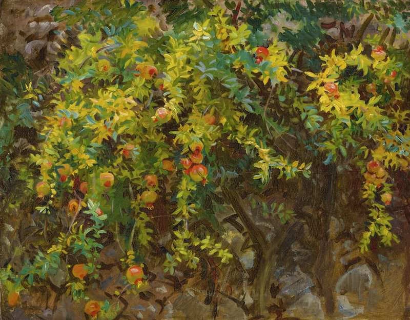 Singer Sargent John Pommegranates Majorca 1908 canvas print