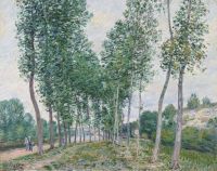 Sisley Alfred L Allee Des Peupliers Au Bord Du Loing 1892 canvas print