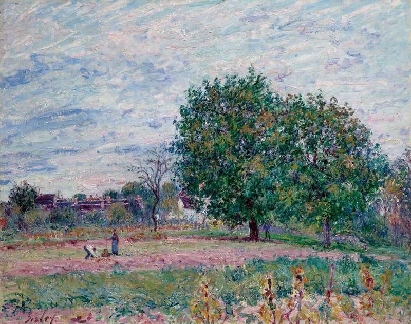 Sisley Alfred Les Noyers Effet De Soleil Couchant Premiers Jours D Octobre 1882 canvas print