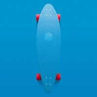 Skate Blue canvas print