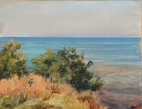 مشهد ساحلي في Slott Moller Agnes من جزيرة Als Southern Jutland 1912