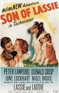 Son Of Lassie 1945 Movie Poster canvas print