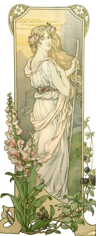 Sonrel Elisabeth Fleur Des Montagnes Ca. 1903 canvas print