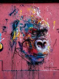 Street Art King Kong Spray canvas print