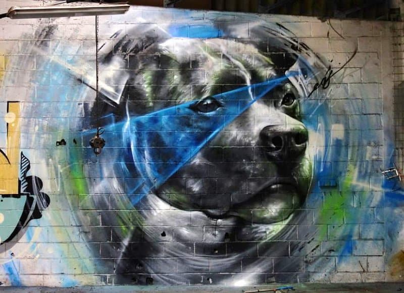 Tableaux sur toile, reproduction de Street Art Laser Dog