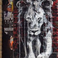 Street Art Lion Tagged