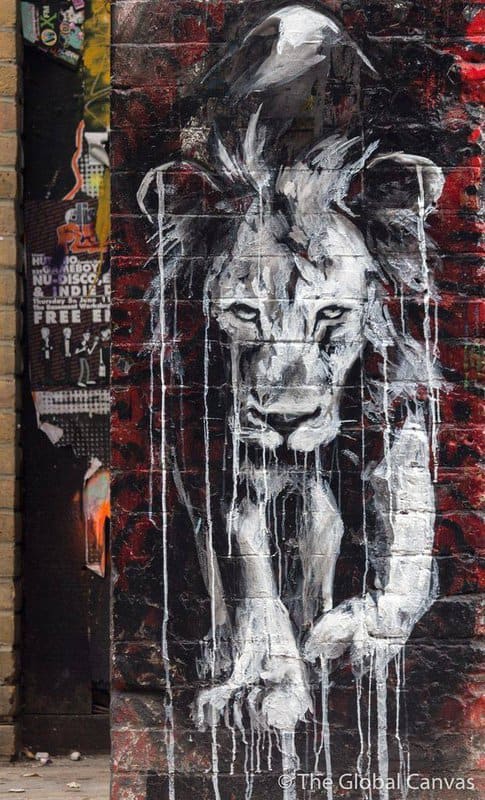 Street Art Lion Tagged canvas print