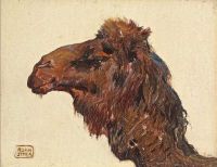 Styka Adam Head Of A Camel canvas print