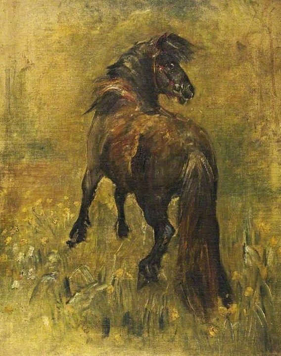 Swynnerton Annie Louisa Oil Sketch Of A Pony Ca. 1906 canvas print