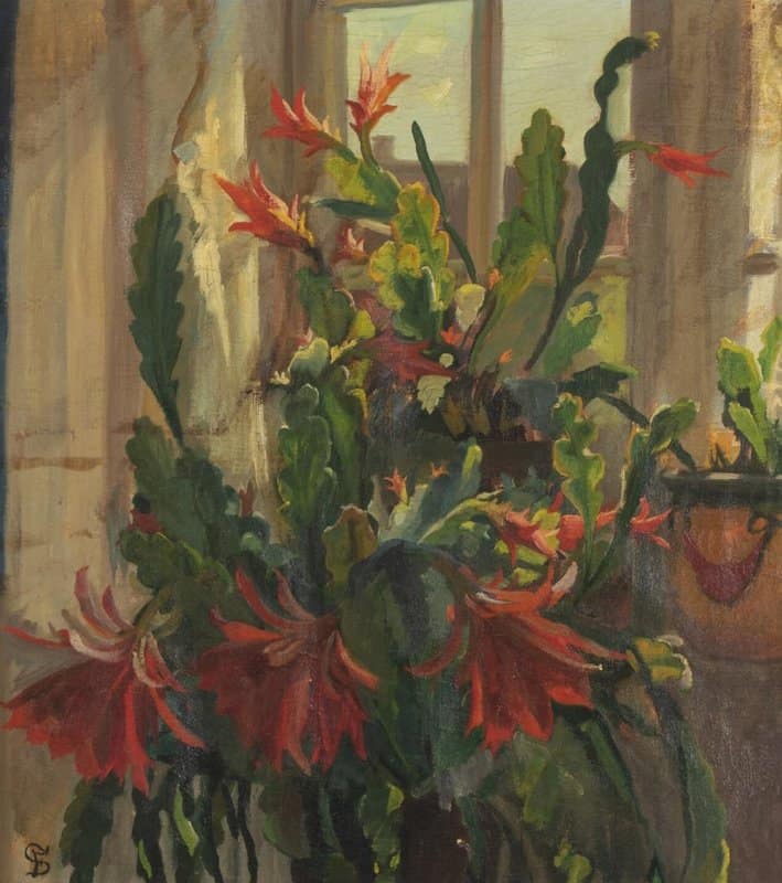 Syberg Anna Flowering Cactus In Window canvas print