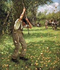 Thangue Henry Herbert La Shaking Down Cider Apples Ca. 1909 canvas print