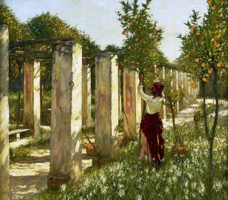 Thangue Henry Herbert La The Orange Grove Ca. 1910 canvas print