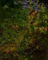 ثاير أبوت هاندرسون طاووس في الغابة 1907