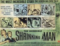 Incredible Shrinking Man 3 영화 포스터