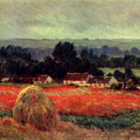 De klaproos Blumenfeld De schuur door Monet