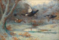 Thorburn Archibald Blackgame In Woodland Winter 1923 canvas print