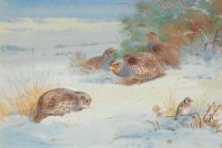 Thorburn Archibald Partridge And A Goldfinch In A Winter Landscape 1903