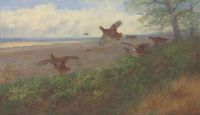 Thorburn Archibald Partridges In Flight 1907 1
