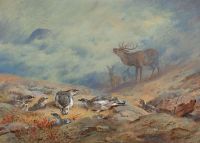 Thorburn Archibald The Call Of The Highland Monarch Red Deer And Ptarmigan In Summer Plumage 1932