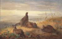 Thorburn Archibald The Covey At Daybreak 1888 canvas print