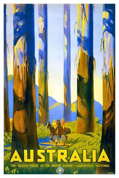 Travel Poster Australia Forest canvas print