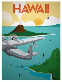 Reiseplakat Hawaii Flugzeug