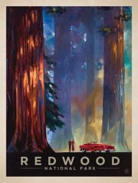 Reise-Plakat-Leinwanddruck des Redwood-Nationalparks