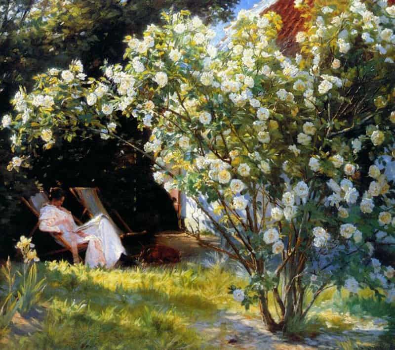 Triepcke Kroyer Alfven Marie Roses Or The Artists Wife In The Garden At Skagen 1893 canvas print
