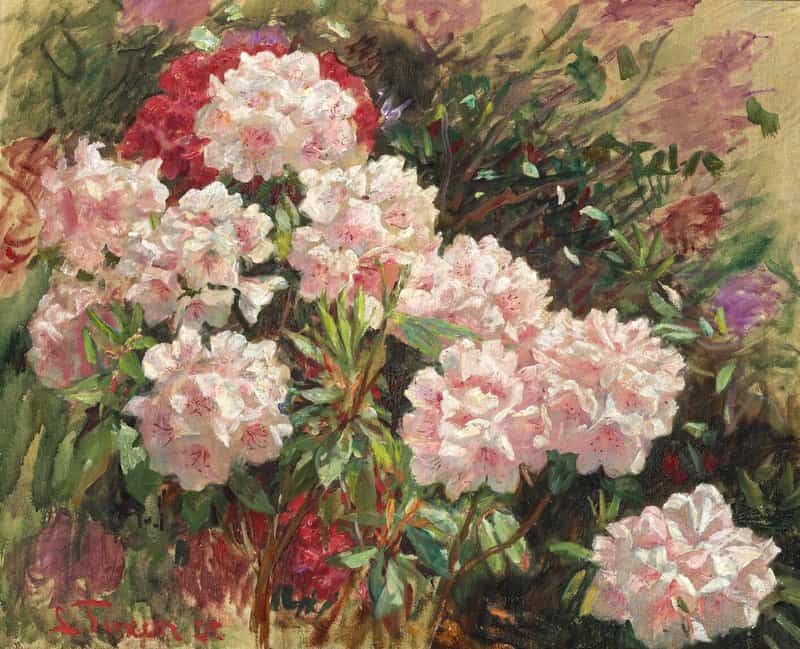 Tuxen Laurits Flowering Rhododendrons In Tuxen S Garden In Skagen canvas print
