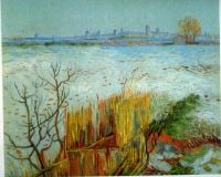 Van Gogh Arles canvas print