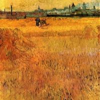 Vista de Van Gogh Arles desde los campos de trigo