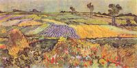 Van Gogh ad Auvers