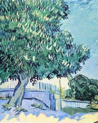 Van Gogh Blossoming Chestnut Tree 2 canvas print