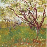Van Gogh Cherry Tree