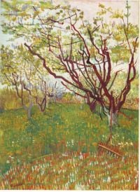 Van Gogh Cherry Tree canvas print