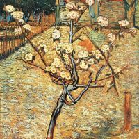 Pera floreciente de Van Gogh