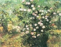 Cespuglio di rose in fiore di Van Gogh