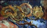 Van Gogh Vier Sonnenblumen, die zum Samen gegangen sind