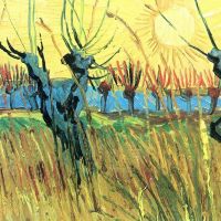 Van Gogh graast bij zonsondergang