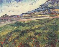 Grünes Weizenfeld Van Gogh
