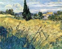 Grünes Weizenfeld Van Gogh mit Zypresse