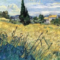 Campo de trigo verde de Van Gogh con ciprés