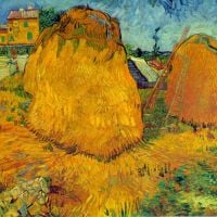 Van Gogh Hooibergen