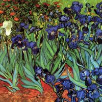 Van Gogh Irissen