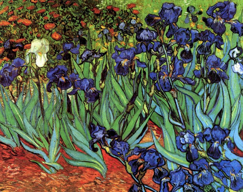 Van Gogh Irises canvas print