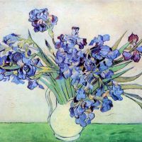 Iris de Van Gogh 2